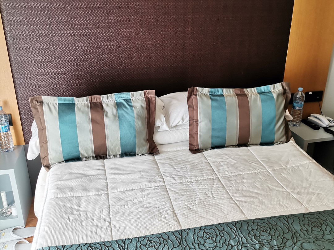 El Faixero Evolucion主图