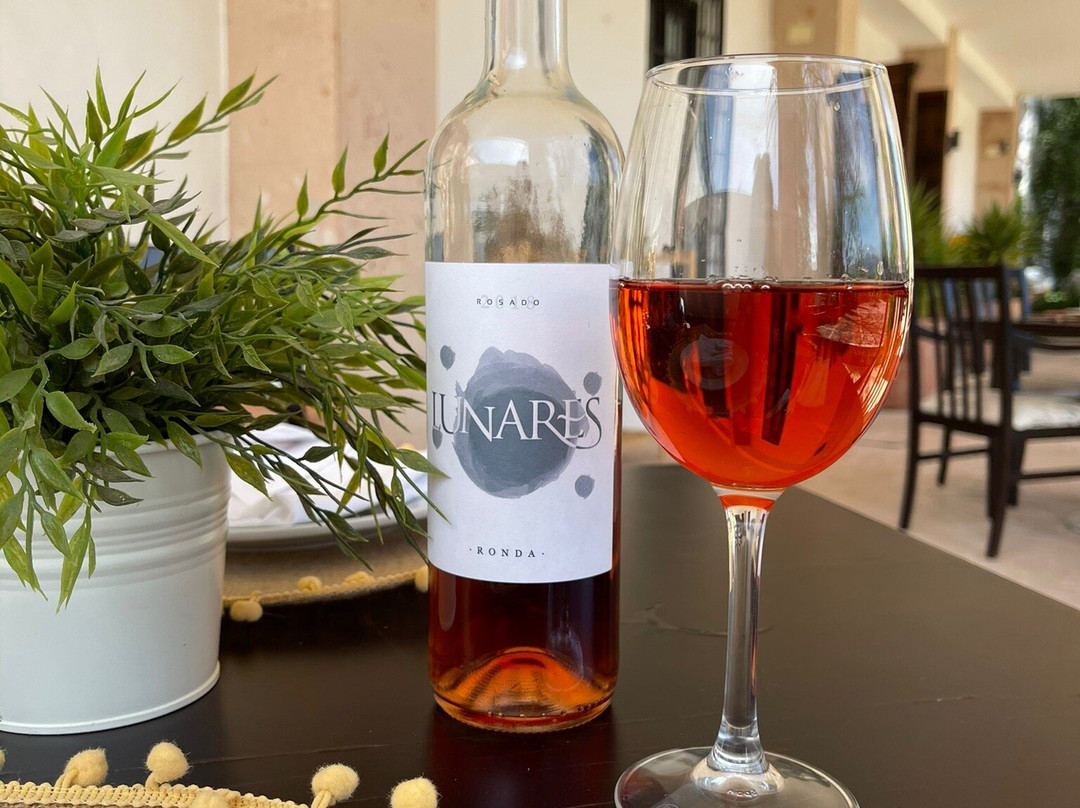 Hotel Bodega El Juncal主图