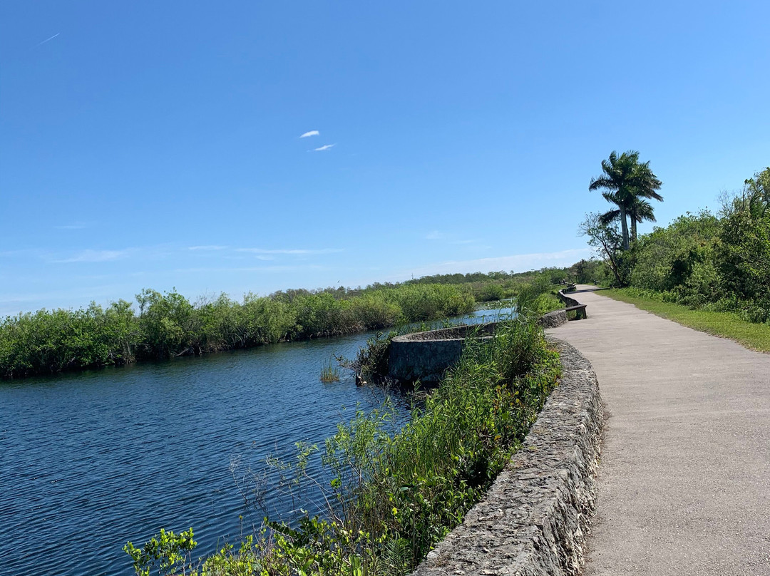 Everglades National Park-佛罗里达城必去景点