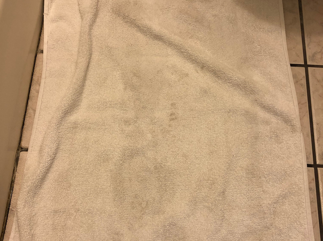 Blue Mist Motel Florence主图