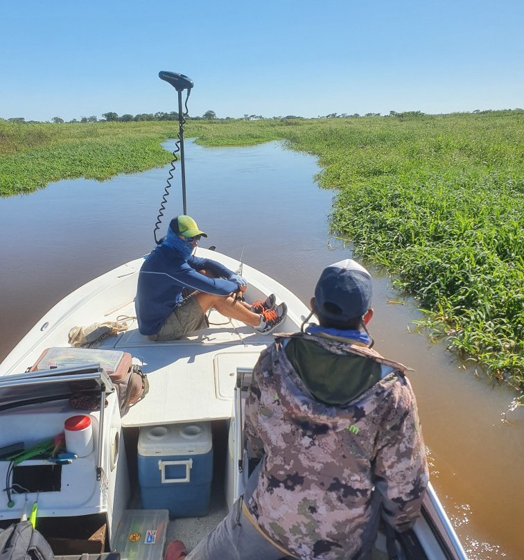 Fishing in Buenos Aires景点图片