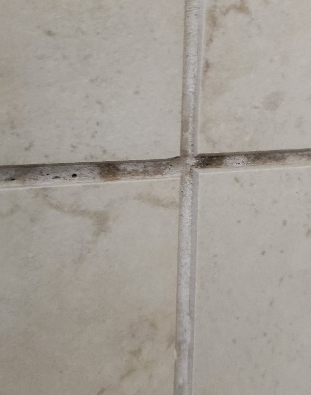 Granbury 拉昆塔旅馆及套房酒店主图