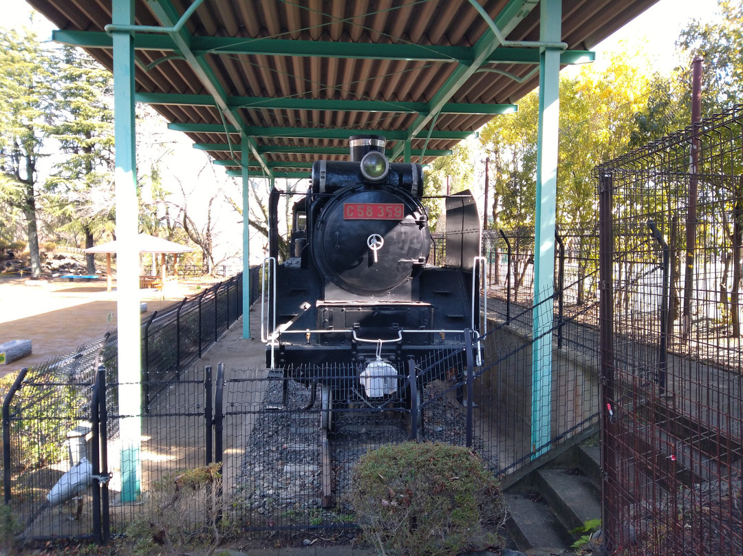 Kameyama Park景点图片