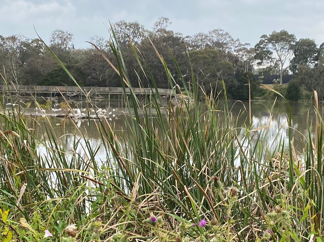 Lake Guyatt-塞尔必去景点