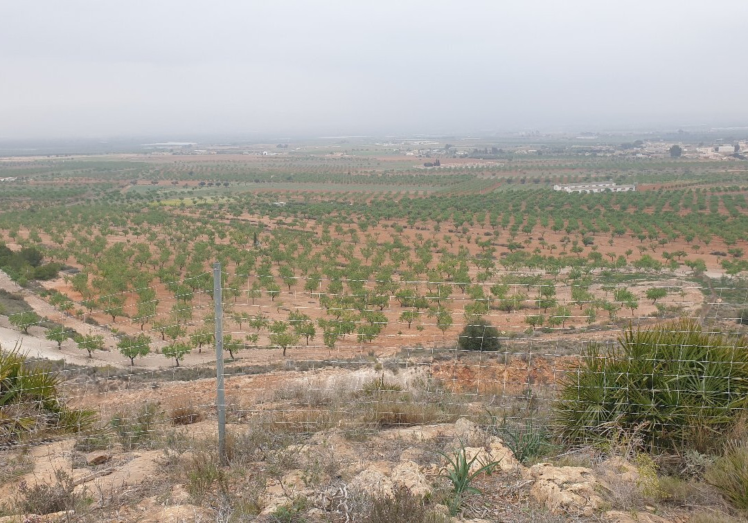 Cruz De Las Palas-Las Palas必去景点