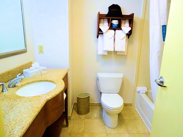 Hampton Inn Warrenton-浴室