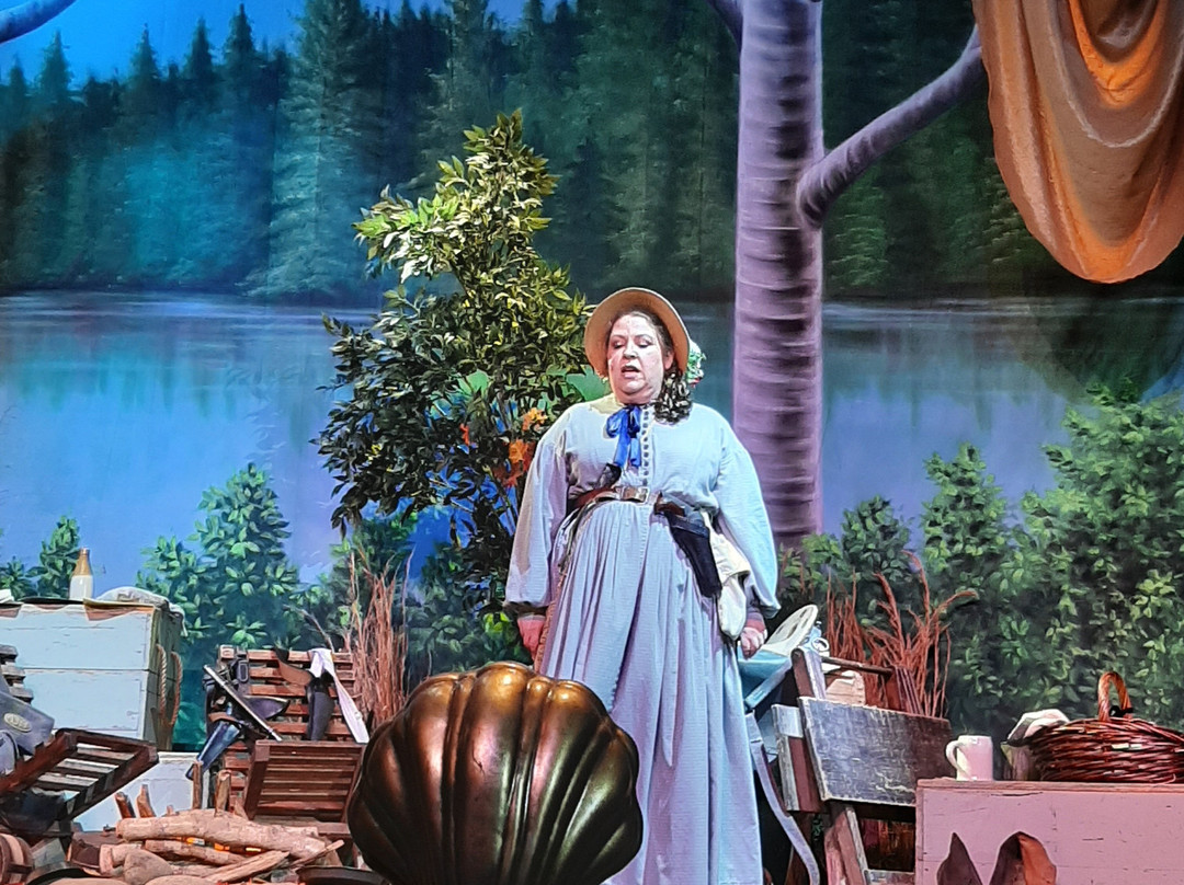 Buttonwillow Civil War Theater-皮金福奇必去景点