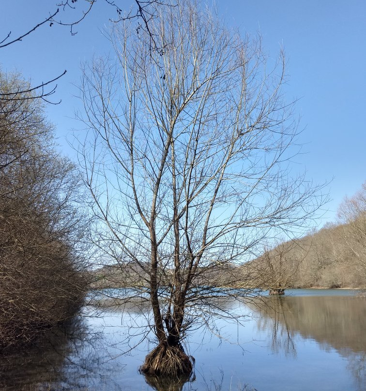 Lac de Mondely-La-Bastide-de-Serou必去景点