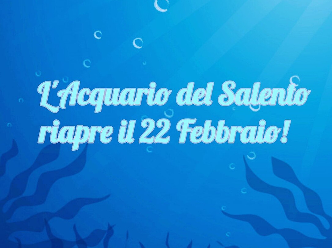 Acquario Del Salento-Santa Maria al Bagno必去景点