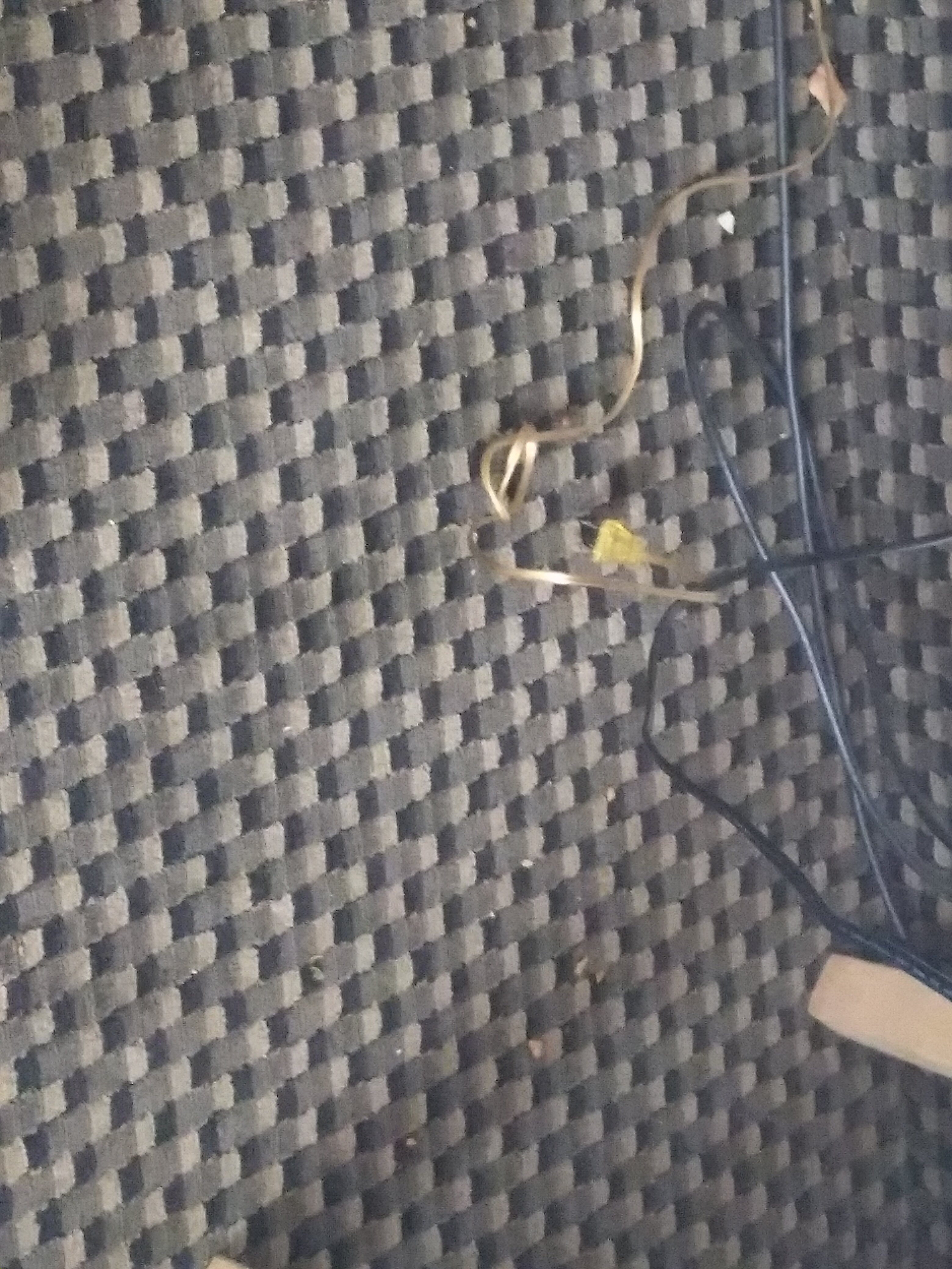 Days Inn by Wyndham Modesto-portrait