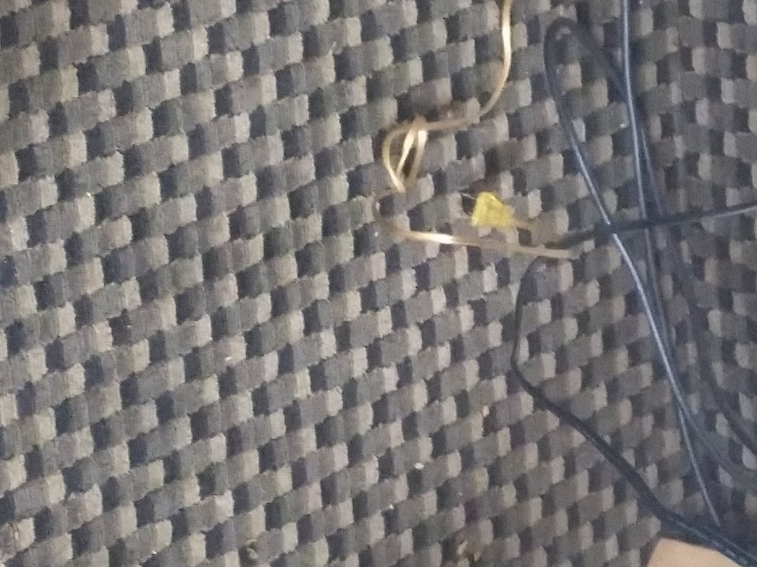 Days Inn by Wyndham Modesto主图