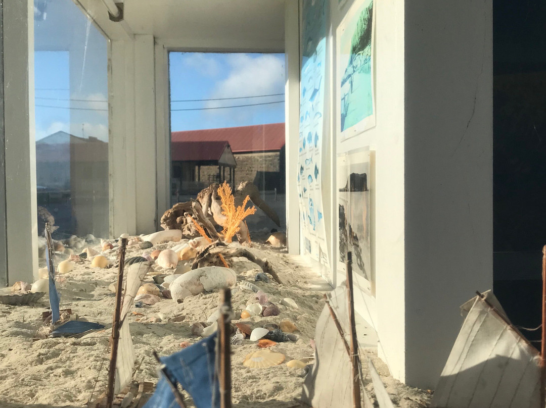 Marine Park-斯坦利必去景点