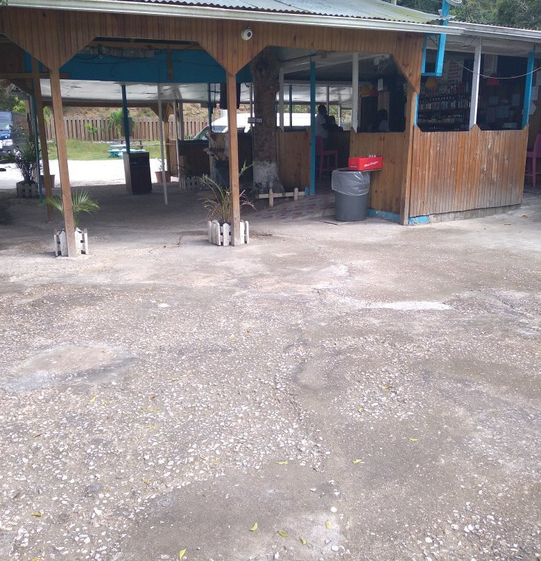 Next Level Jamaica Tours-蒙特戈贝必去景点