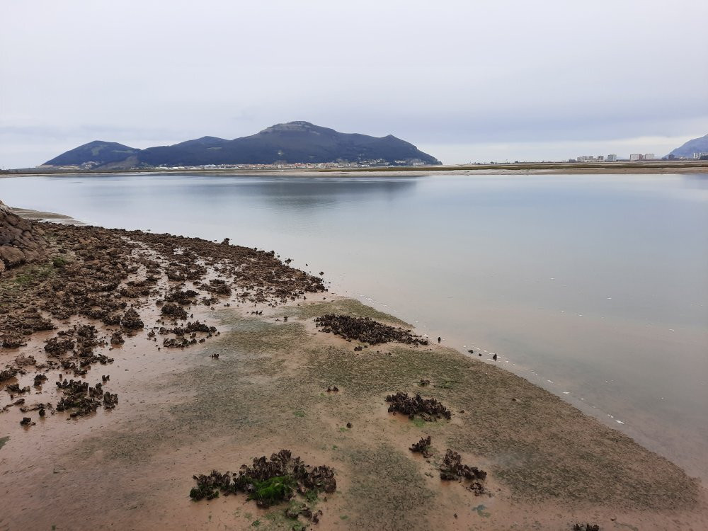 Parque Natural Marismas de Santoña景点图片