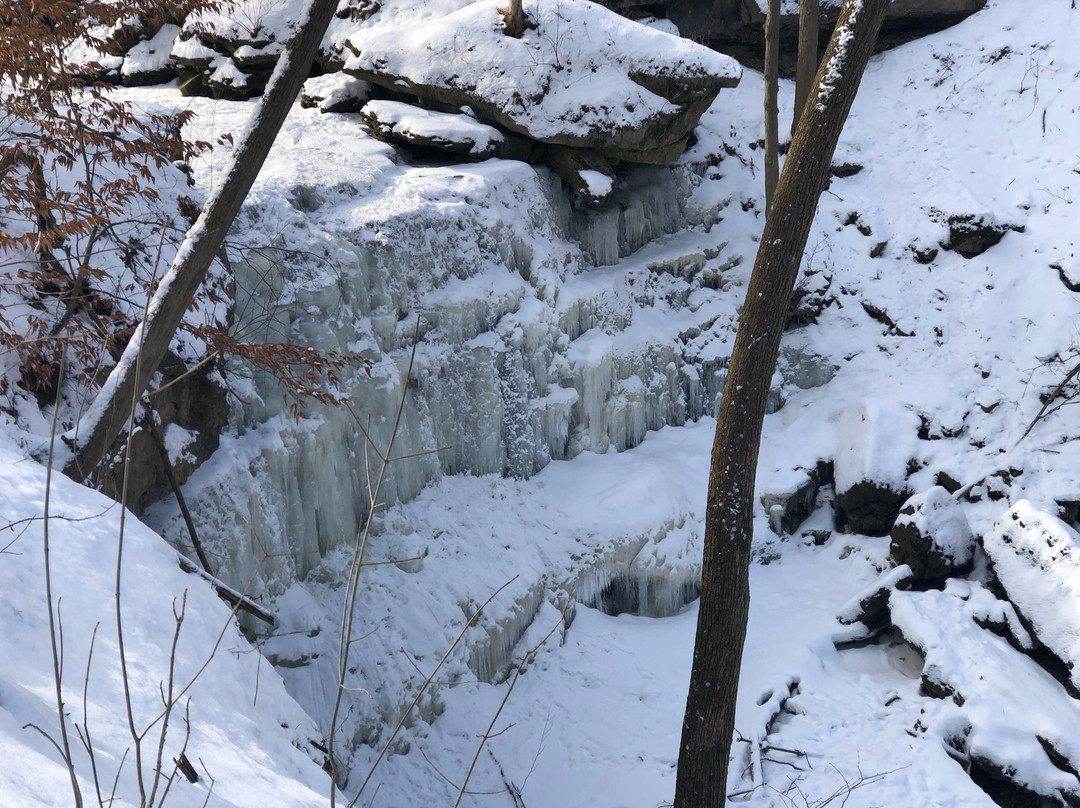 Louth Conservation Area景点图片