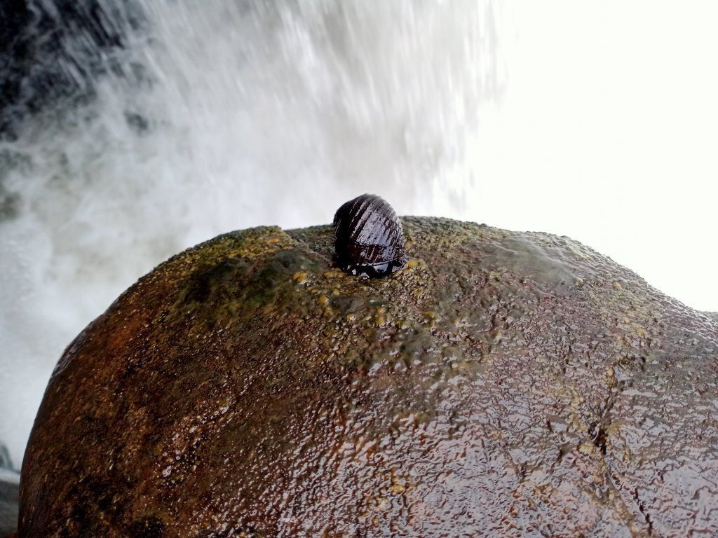 Theliella Falls-Warakapola必去景点