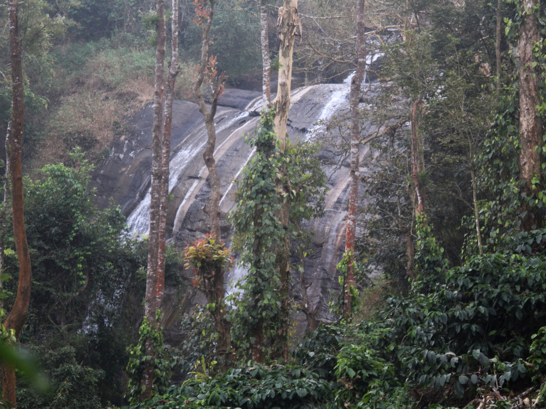Chelavara Falls景点图片