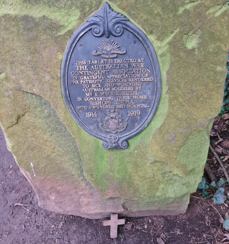 Bennett's Patch and White's Paddock-布里斯托尔必去景点