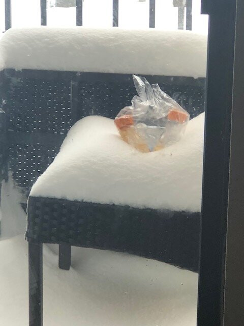 Courtyard by Marriott Milwaukee North/Brown Deer主图