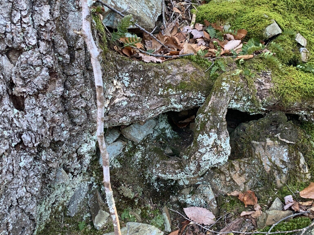MDC Reservoir #6-西哈特福德必去景点
