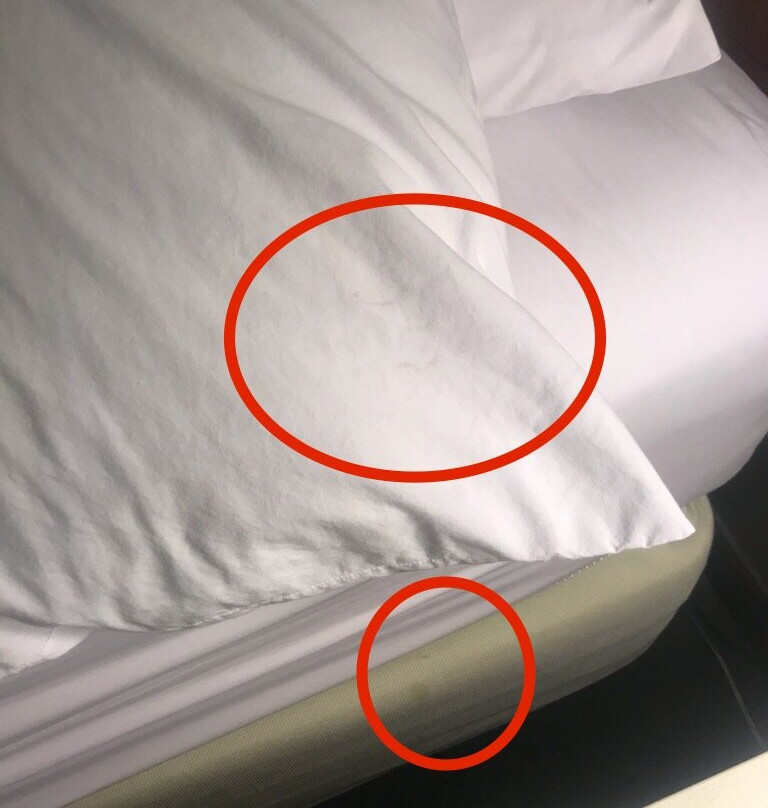 SpringHill Suites by Marriott Atlanta Six Flags主图