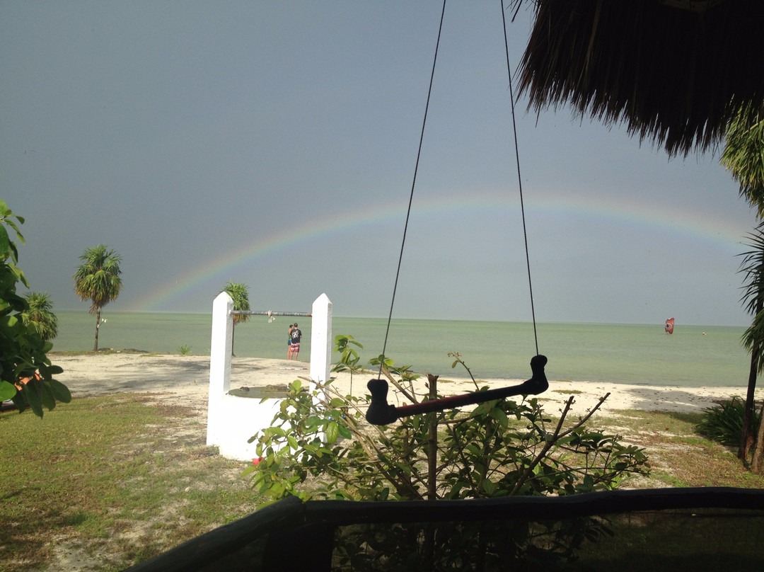 Ikarus Kiteboard Mexico景点图片