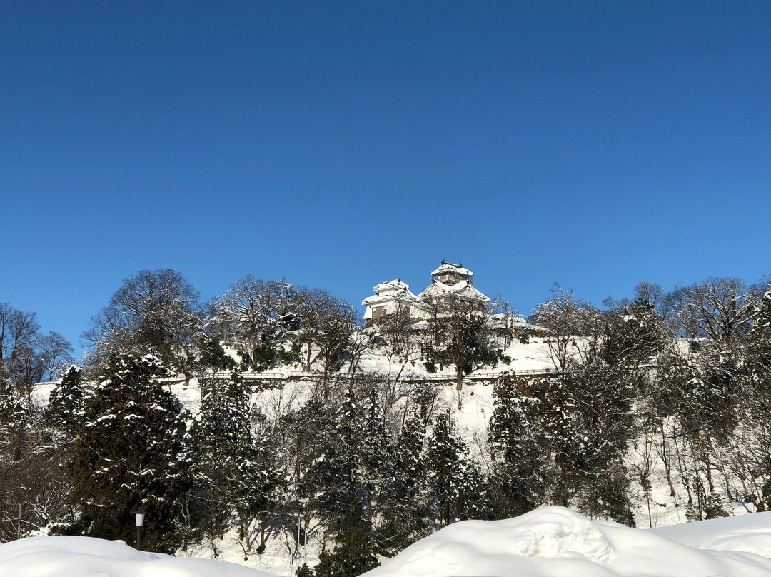 Echizen Ono Castle景点图片