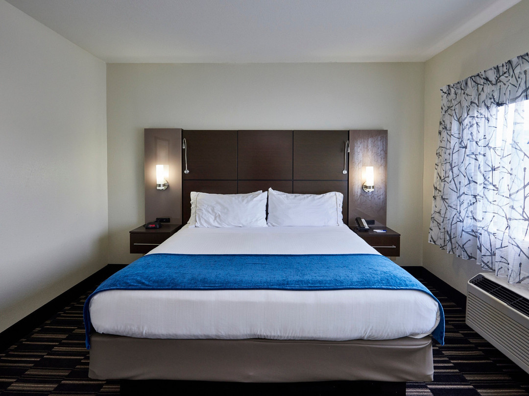 Holiday Inn Express & Suites Birmingham South - Pelham By IHG主图