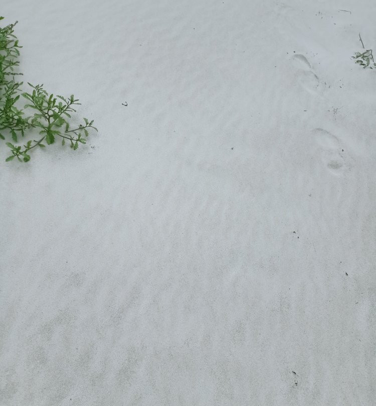 Dead Man Beach景点图片