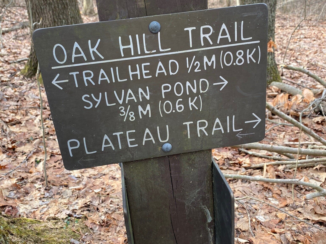 Oak Hill Trail景点图片