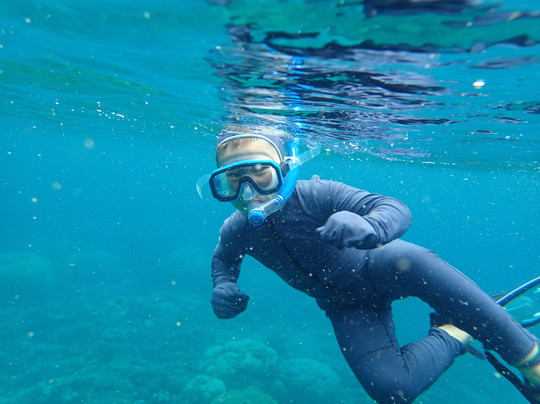 Frankland Islands Reef Cruises-凯恩斯必去景点