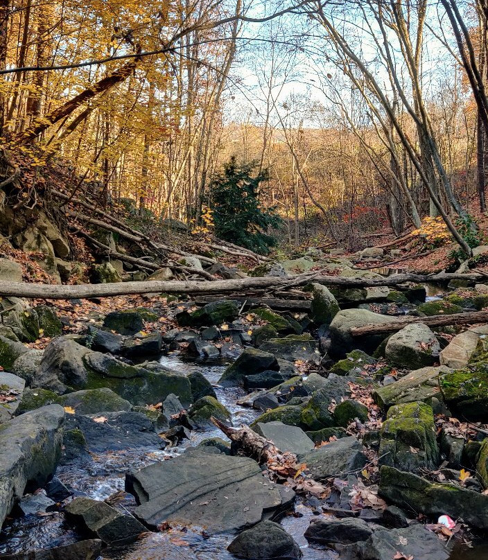 Buttermilk Falls Natural Area景点图片
