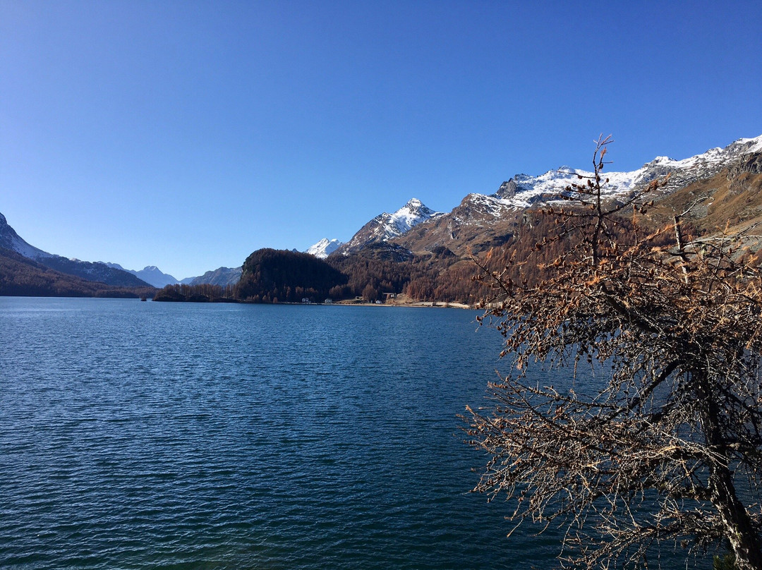 Lake Sils-Sils im Engadin必去景点
