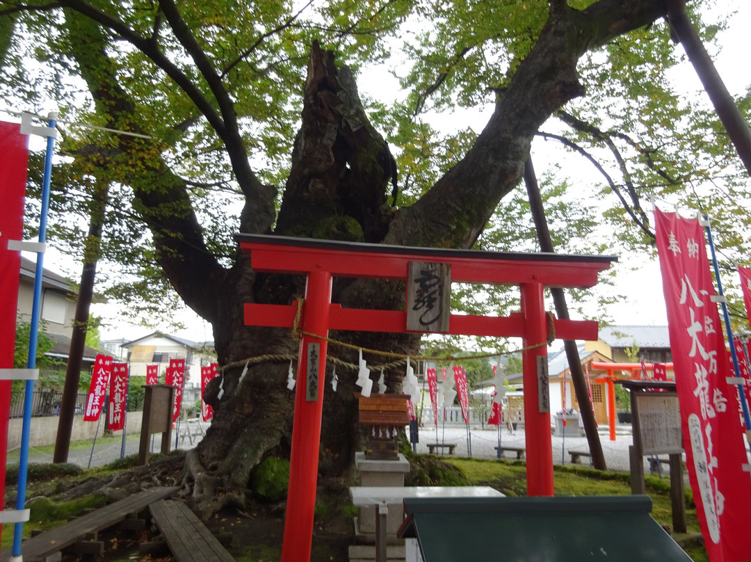 Chichibu Imamiya Shrine-秩父市必去景点