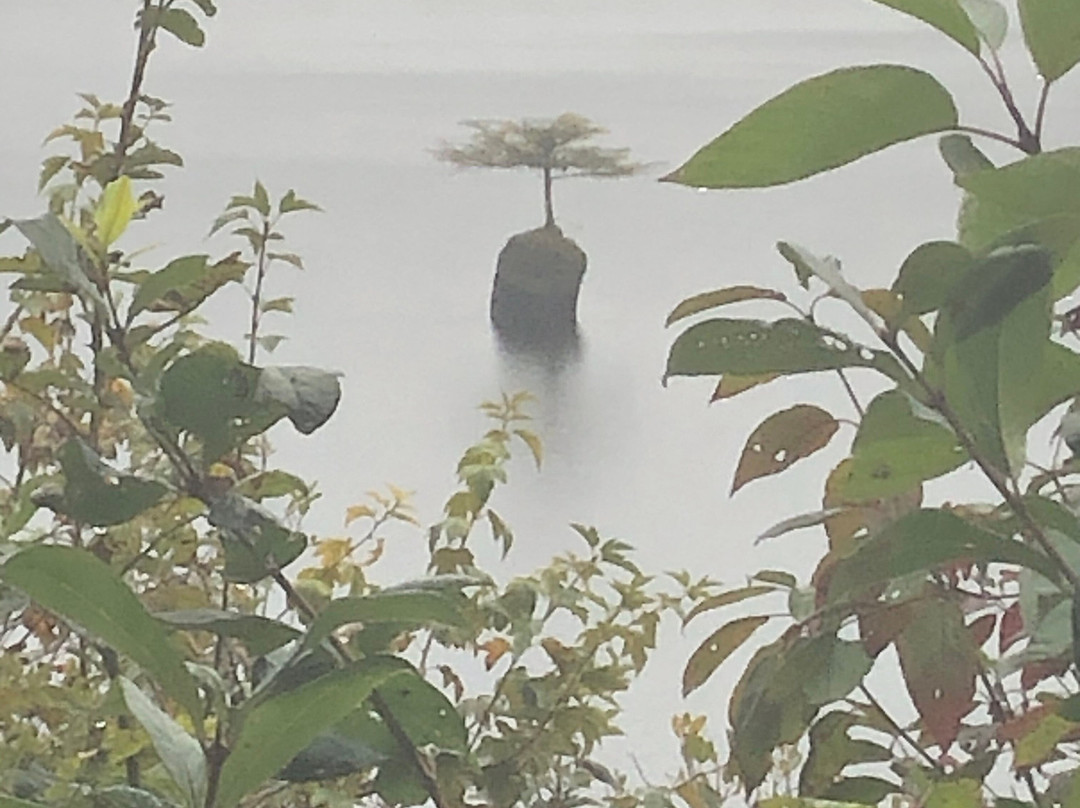 Explore Vancouver Island-纳奈莫必去景点