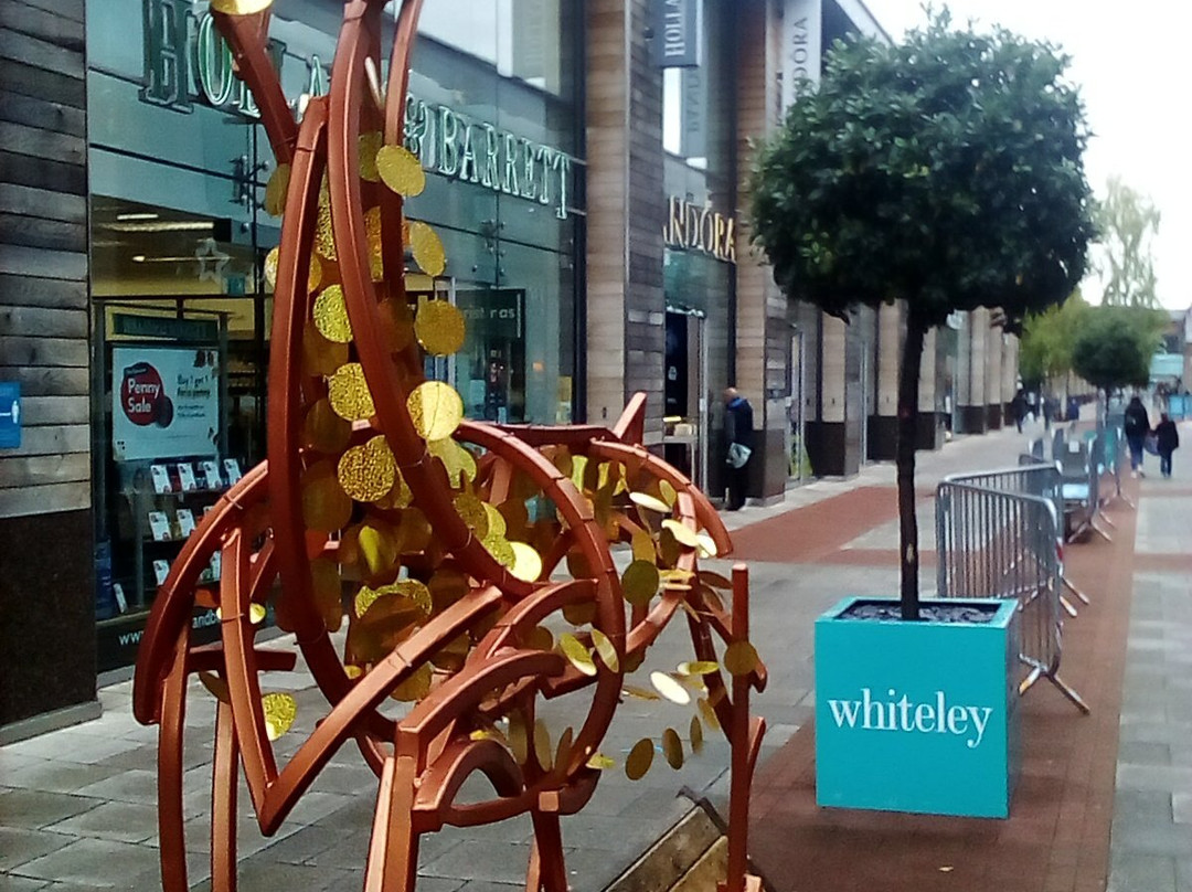 Whiteley Shopping景点图片