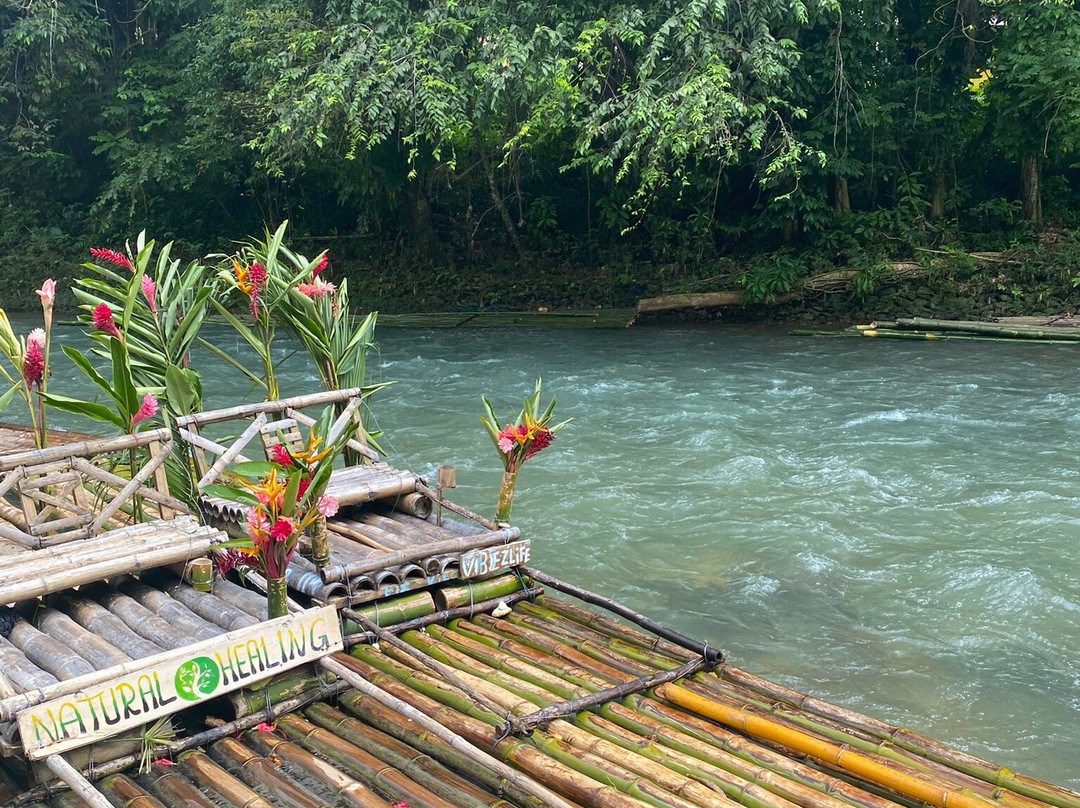 Jamaica Experience Tour景点图片