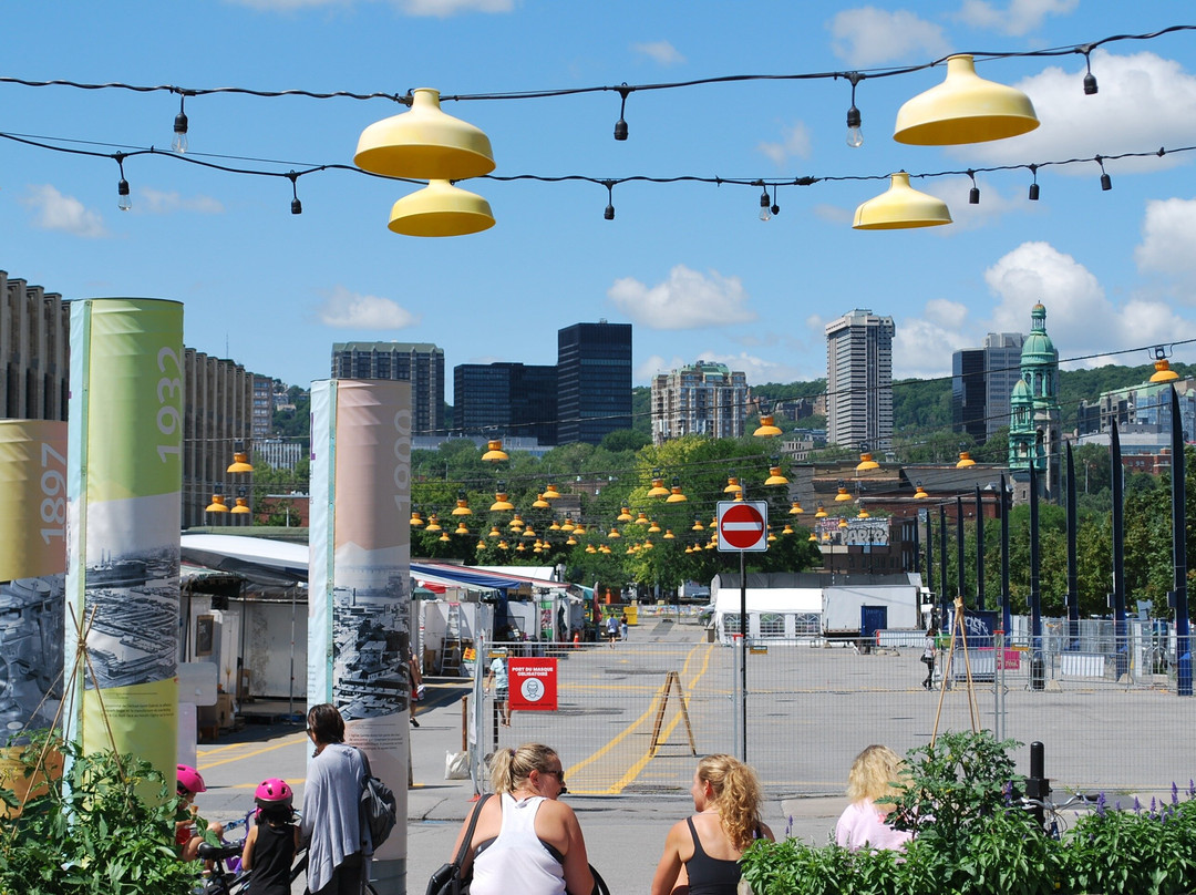 Ntours-蒙特利尔必去景点