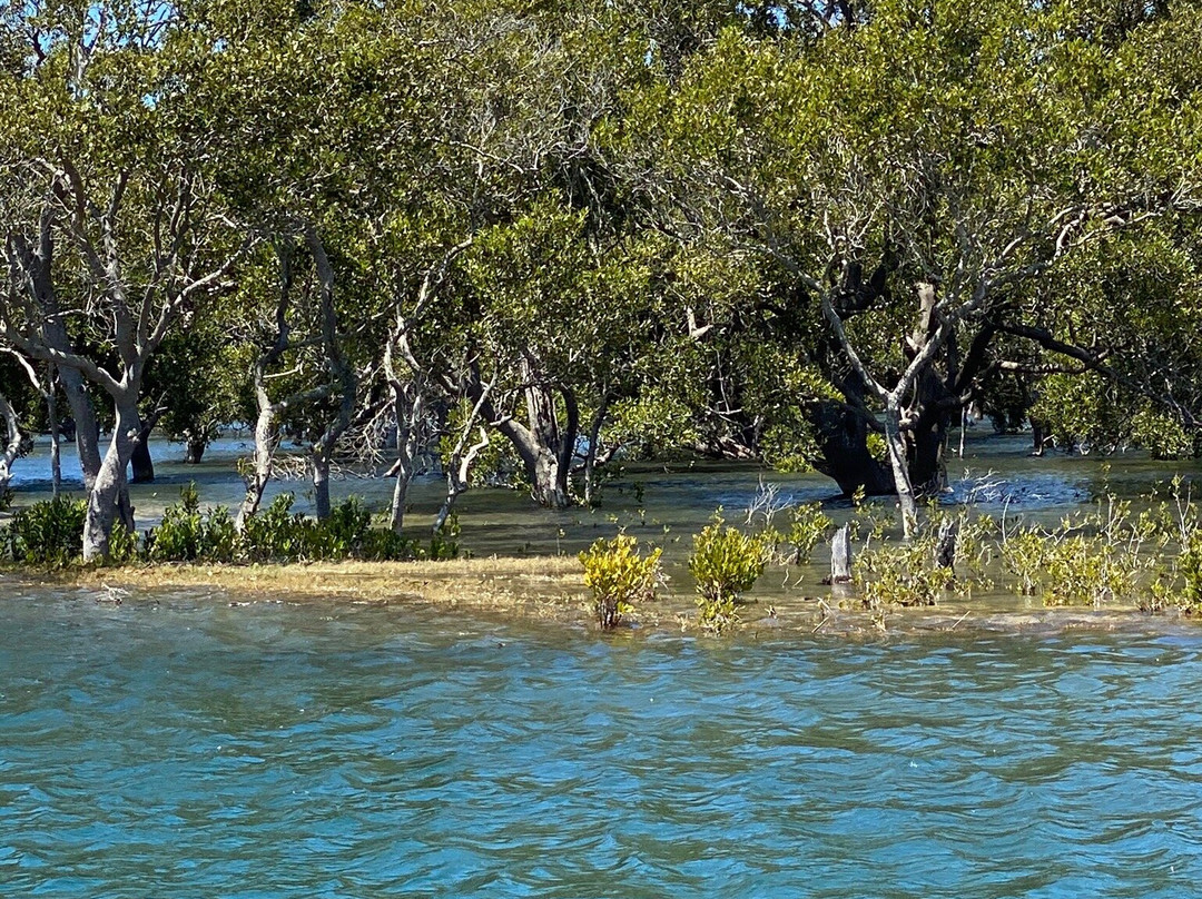 South West Rocks Estuary Charters-西南岩必去景点