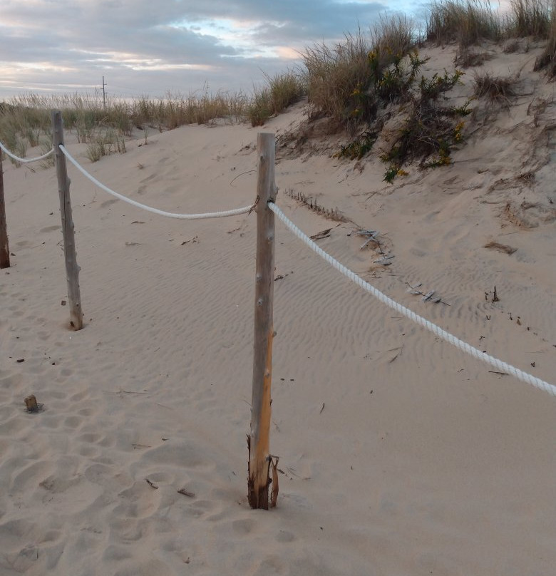 Fenwick Island State Park-Fenwick Island必去景点