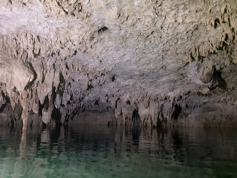 Nature Geek Squad-图伦必去景点