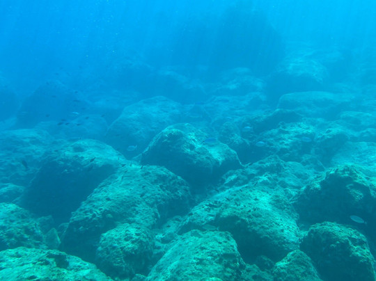 Poseidon Submarine-罗德城必去景点