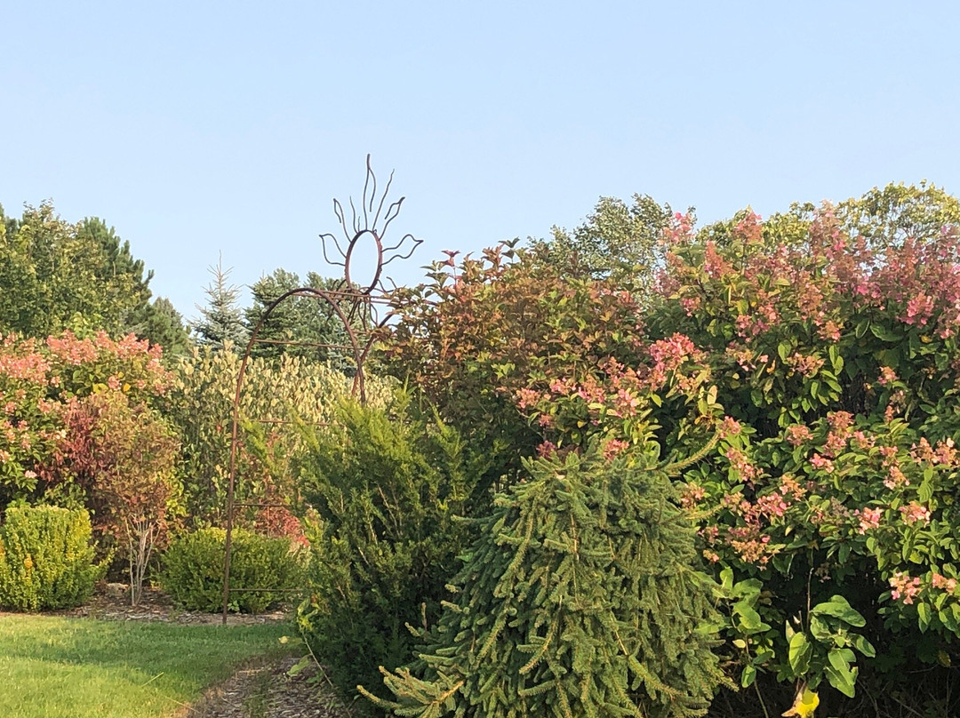 Light of Day Organic Teas-特拉弗斯城必去景点