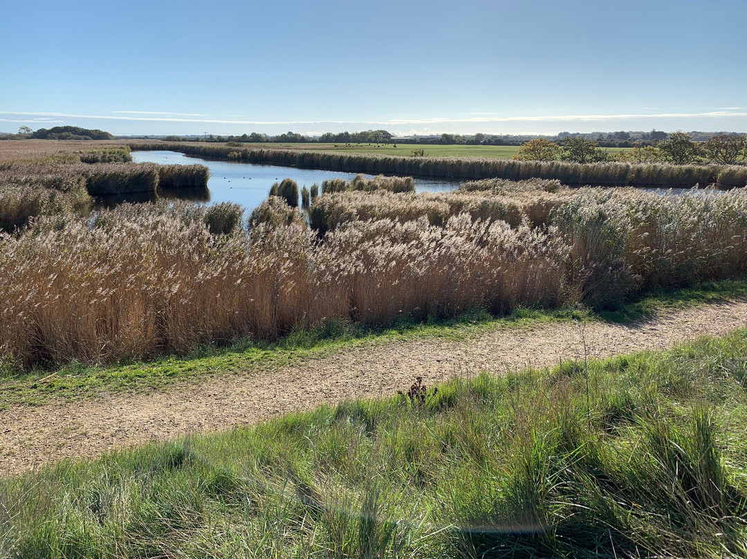 Thorney Island景点图片