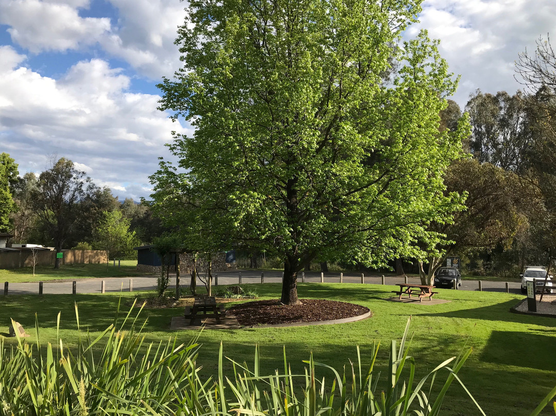 Rotary Park-Myrtleford必去景点