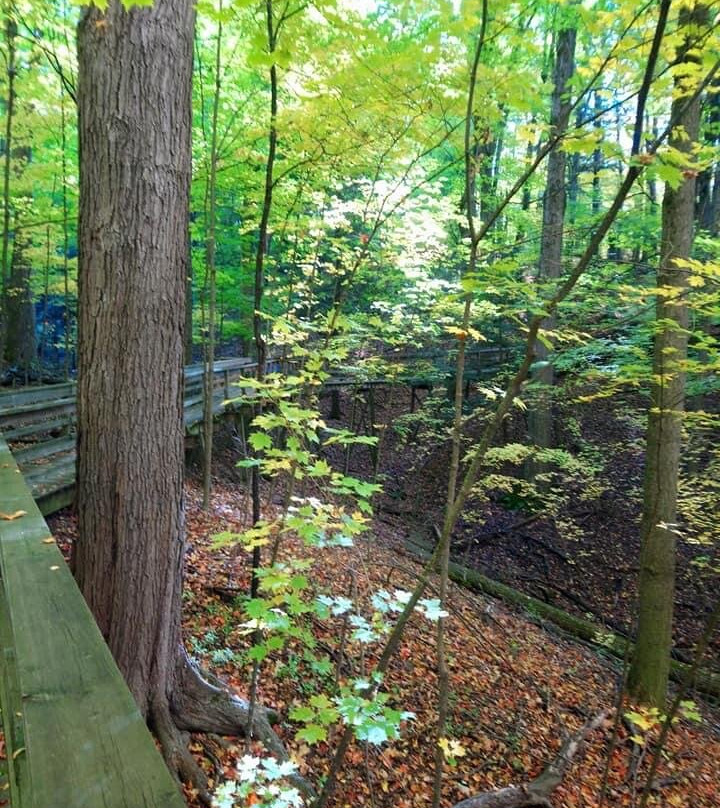 Kortright Centre for Conservation景点图片