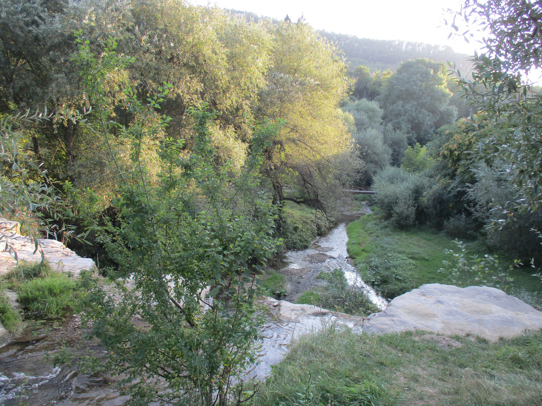 Olkhovka River景点图片