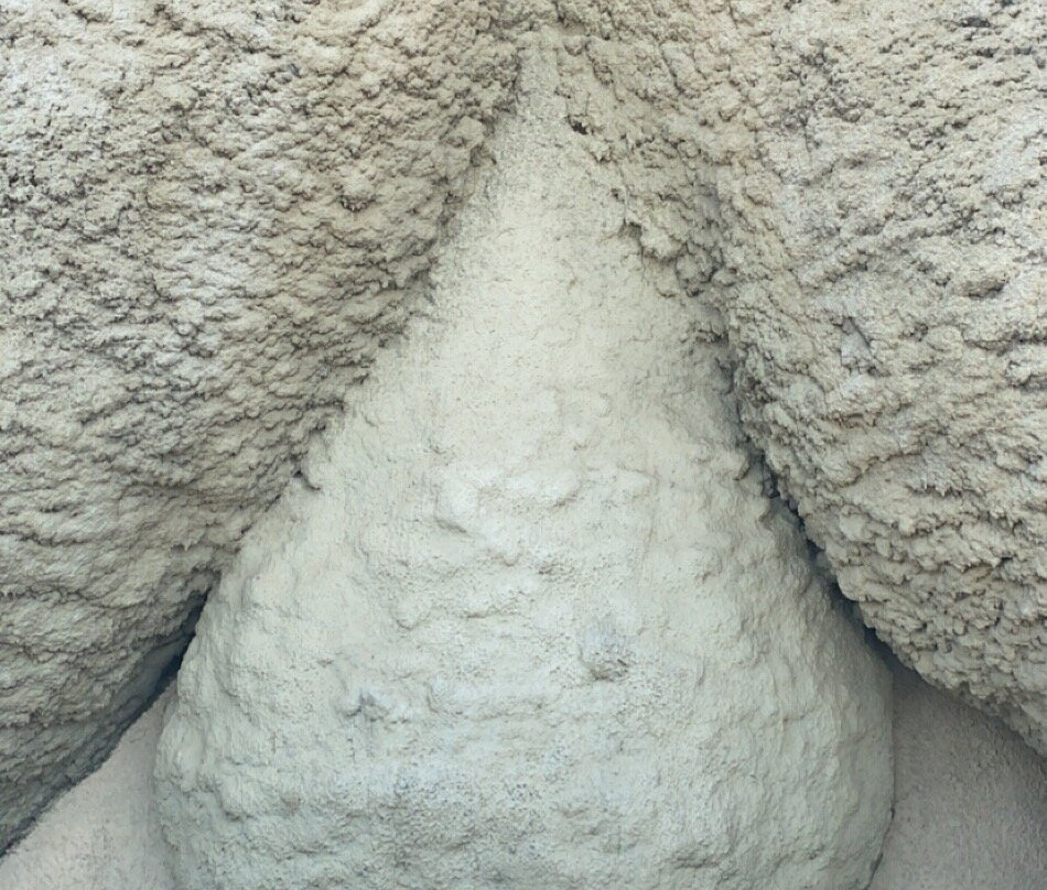 The Big Merino景点图片