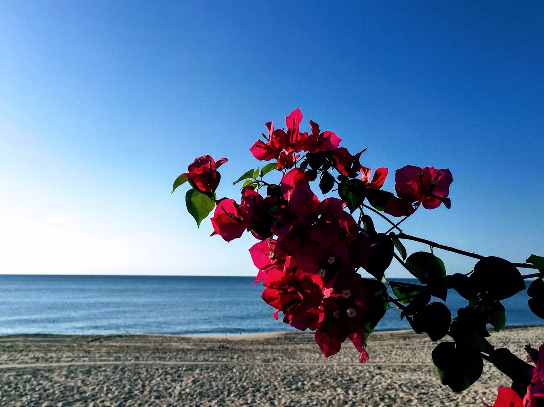 Las Sirenas de Santa Clara主图