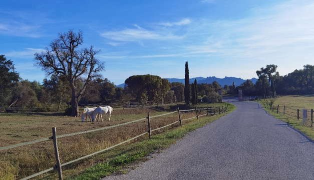 Château du Rouët-Le Muy必去景点